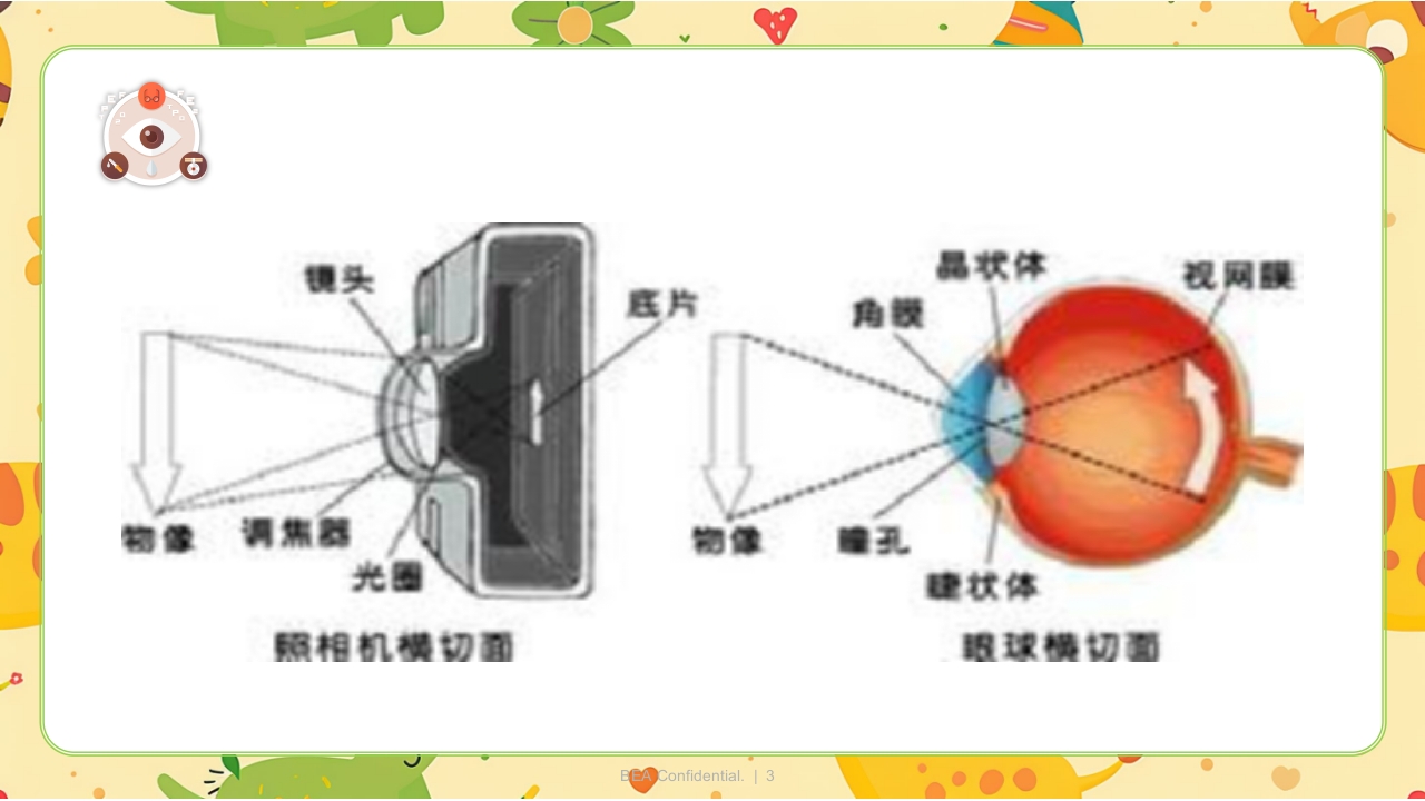 眼科小讲课PPT课件3