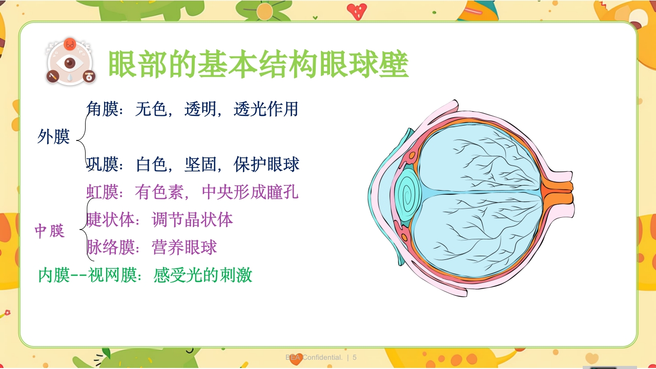 眼科小讲课PPT课件5