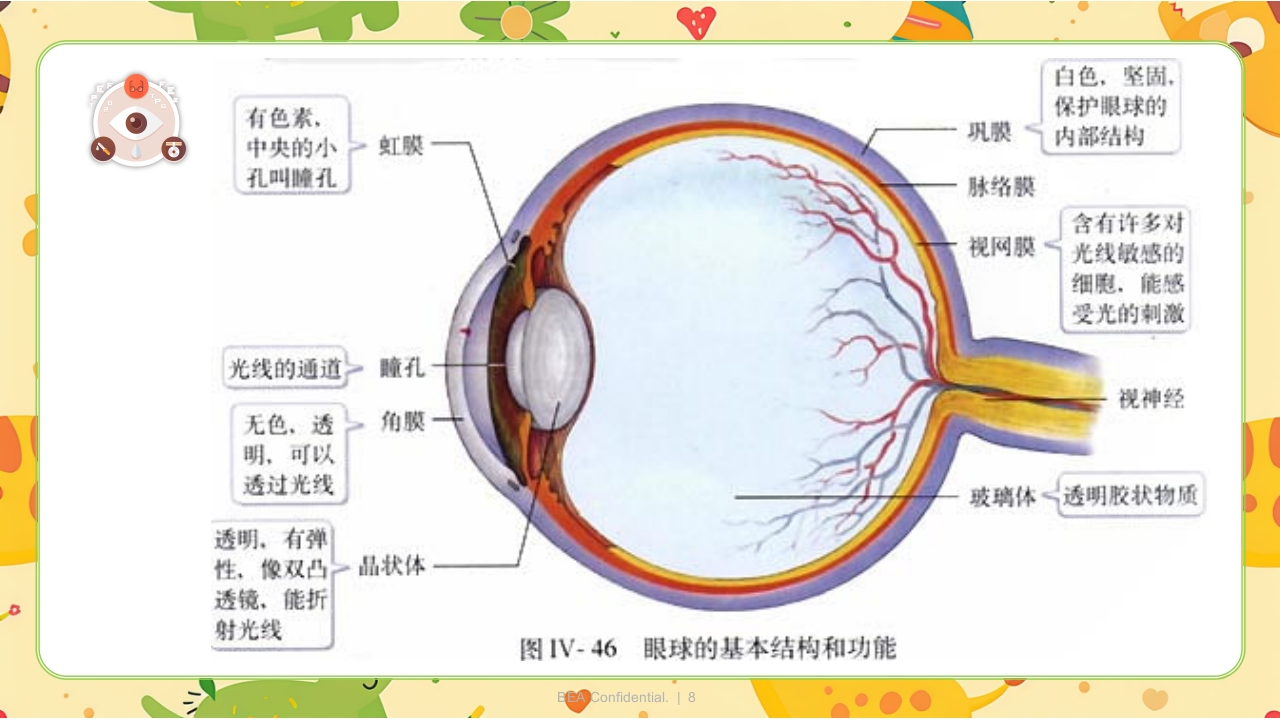 眼科小讲课PPT课件8