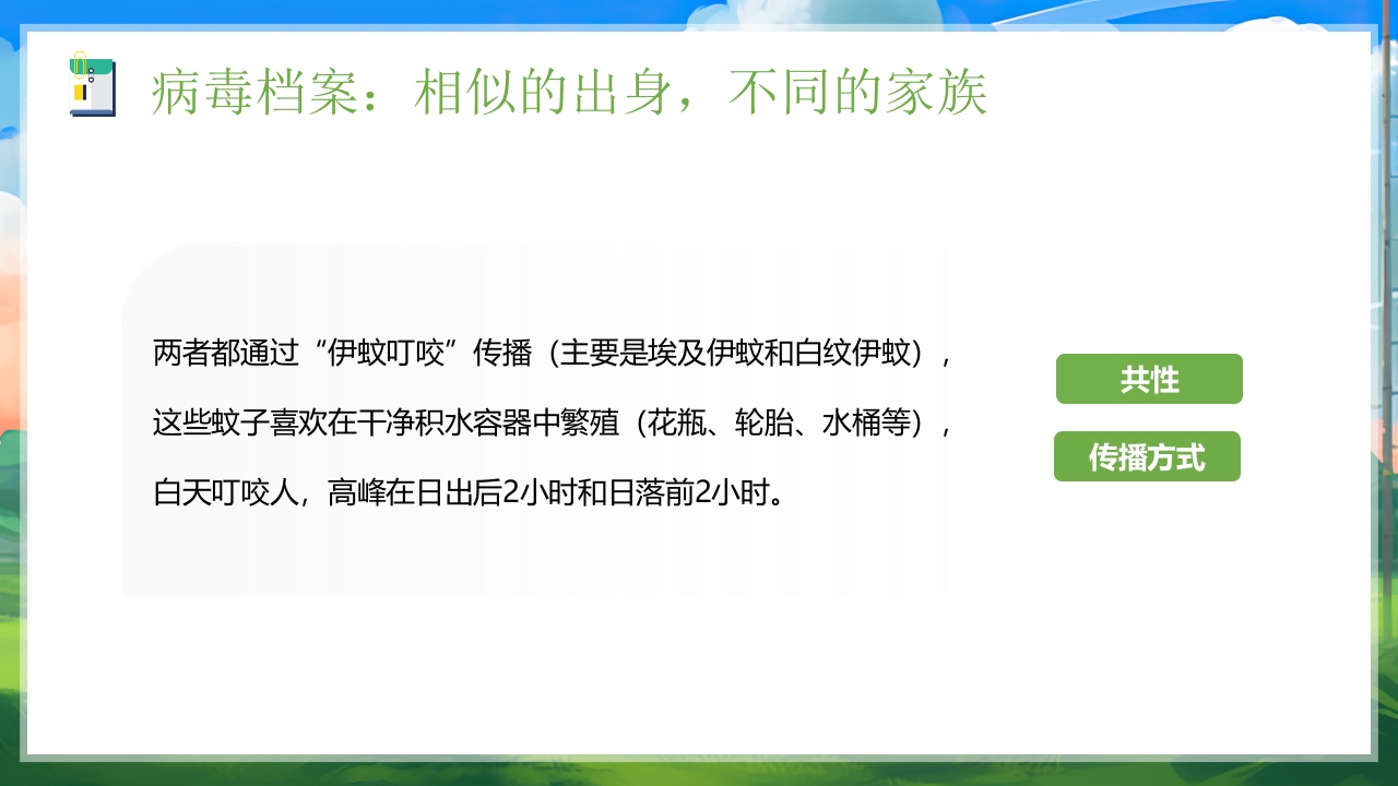 插画风如何区分基孔肯雅热vs登革热医学知识科普PPT课件6
