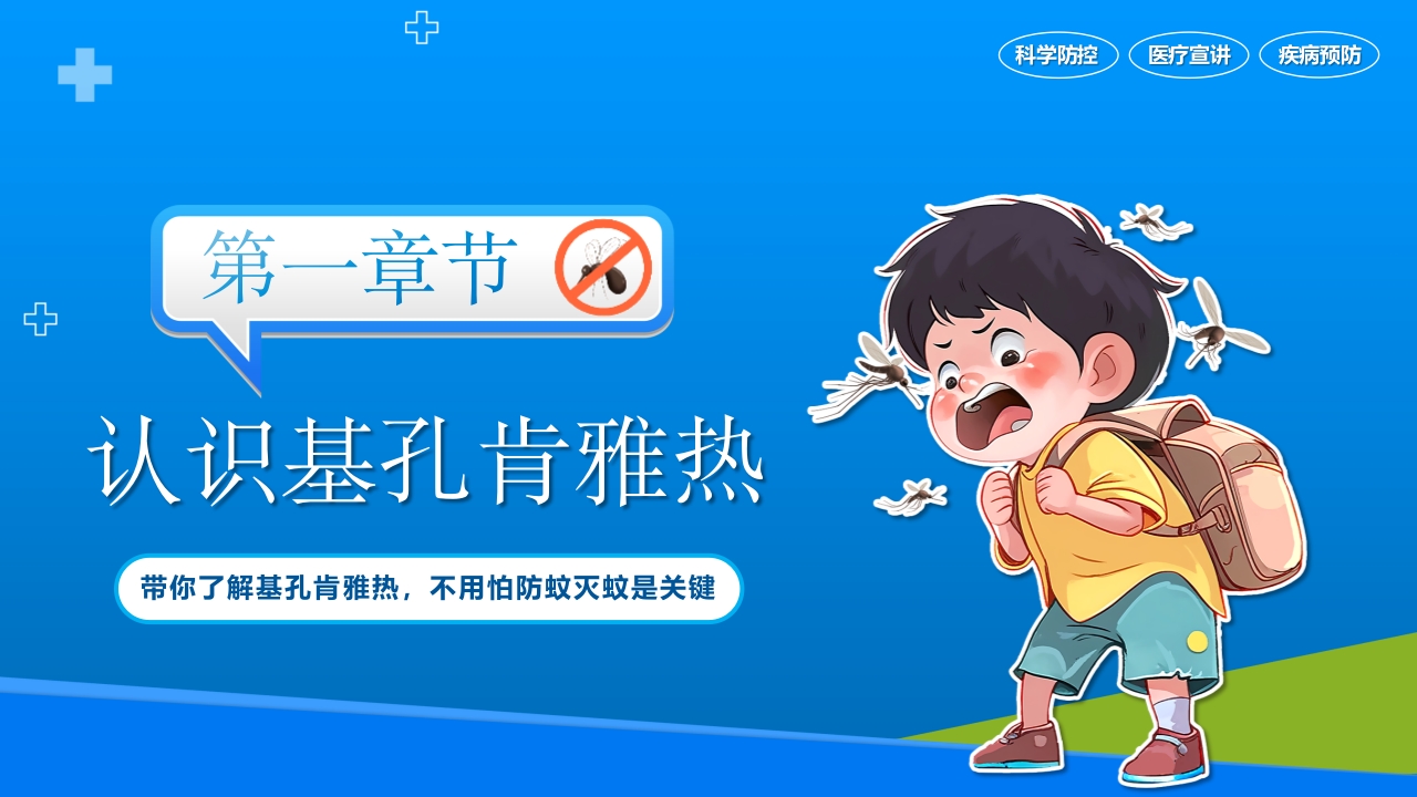 基孔肯雅热防控指南科学防控PPT课件3