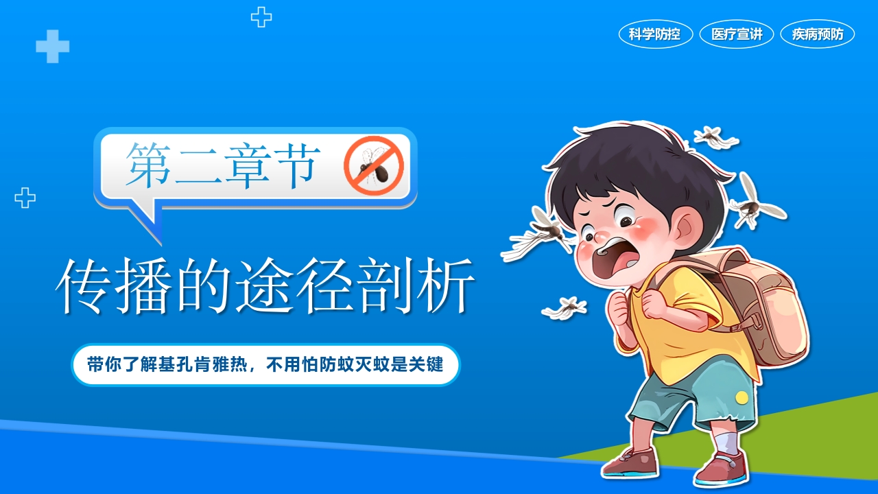 基孔肯雅热防控指南科学防控PPT课件8