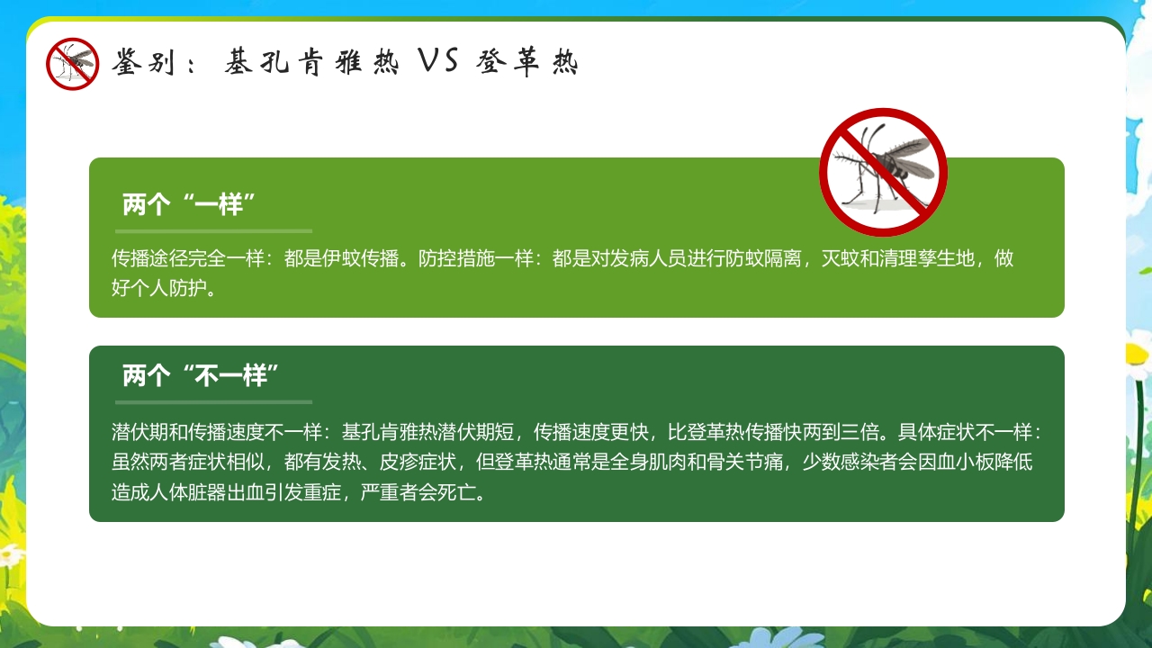 新插画风基孔肯雅热防控指南医学培训PPT课件10