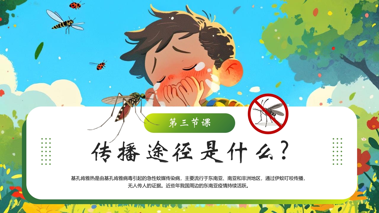 新插画风基孔肯雅热防控指南医学培训PPT课件7