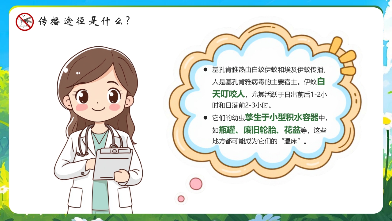 新插画风基孔肯雅热防控指南医学培训PPT课件8