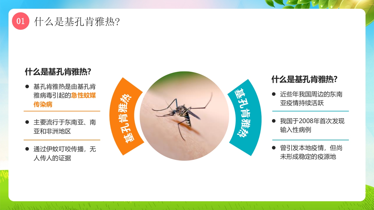 基孔肯雅热防控指南医学知识科普PPT课件4