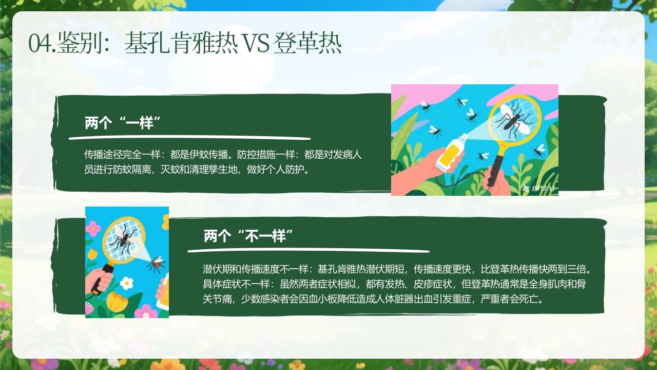 卡通风格的基孔肯雅热防控指南PPT课件10