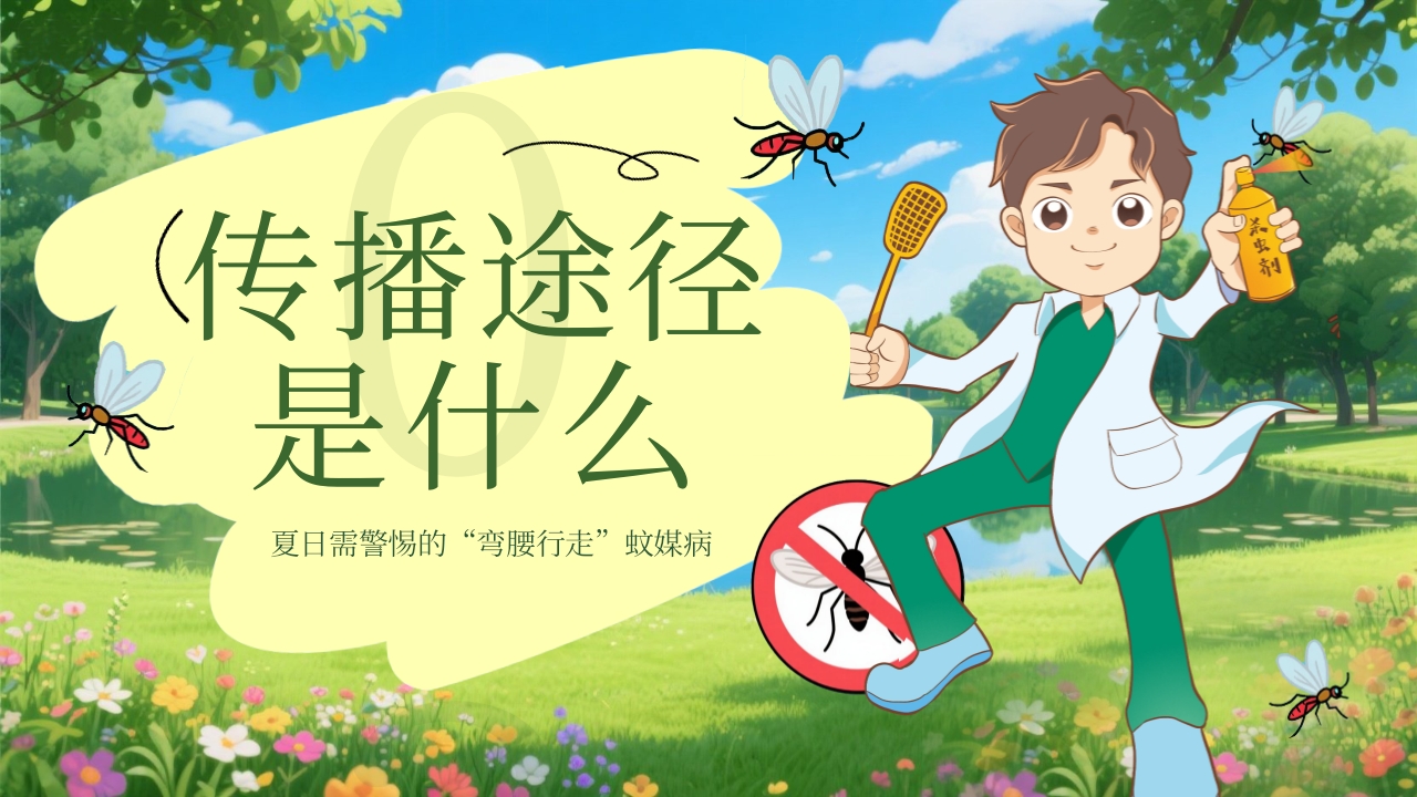 卡通风格的基孔肯雅热防控指南PPT课件7