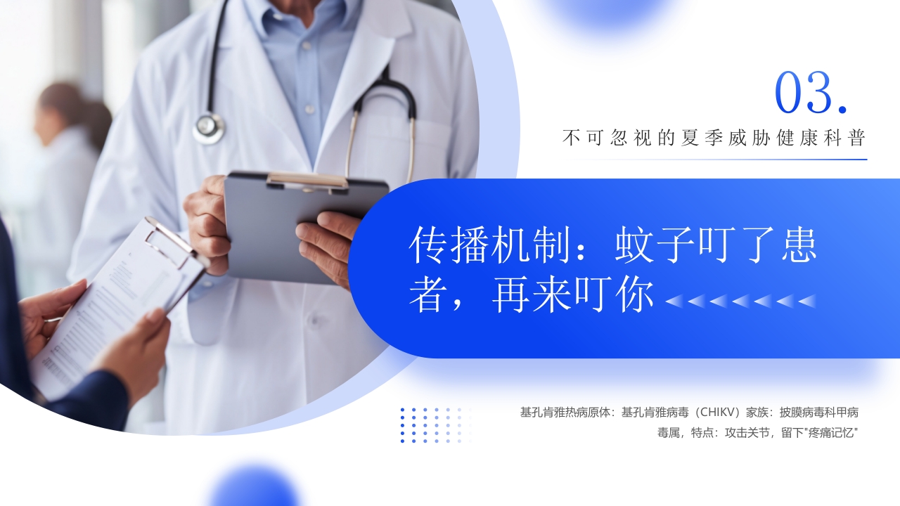如何区分基孔肯雅热vs登革热医学科普PPT课件10