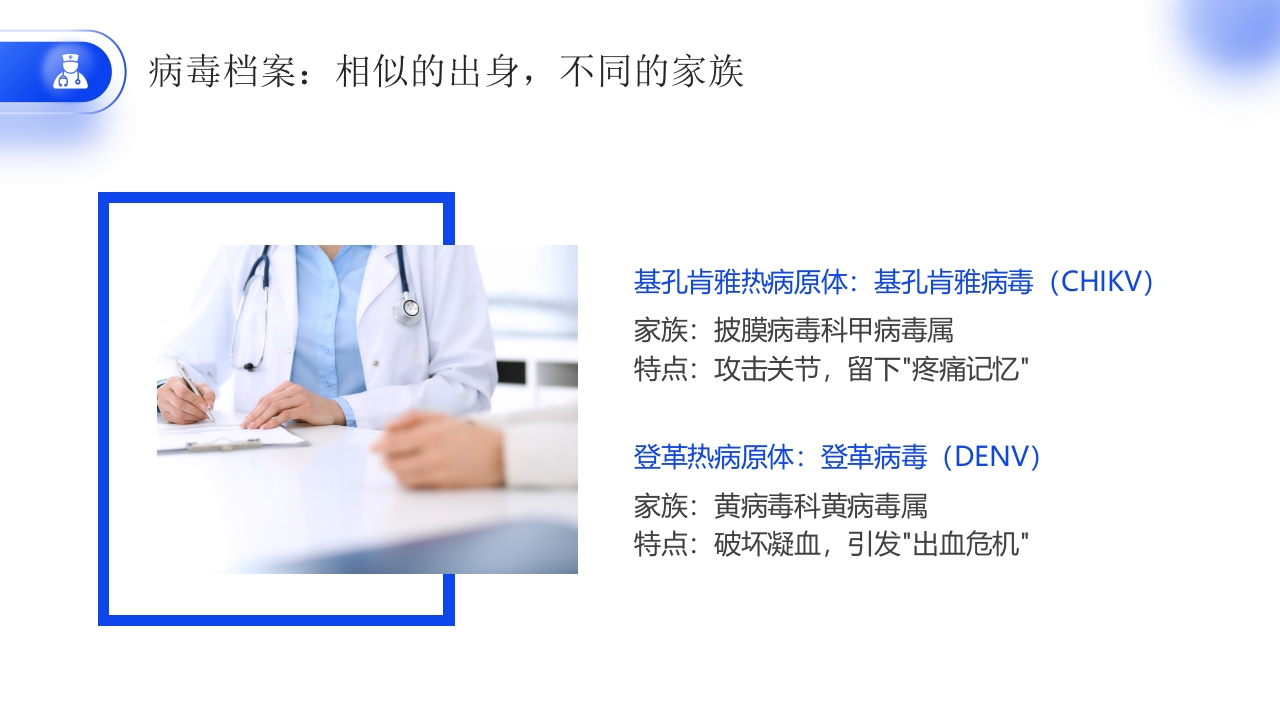 如何区分基孔肯雅热vs登革热医学科普PPT课件5