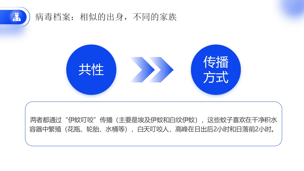 如何区分基孔肯雅热vs登革热医学科普PPT课件6