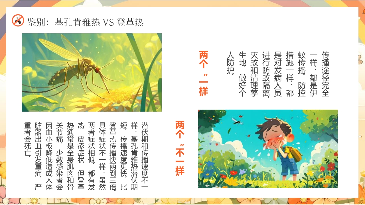 男孩背景的基孔肯雅热防控指南PPT课件10