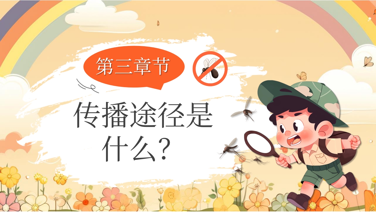 男孩背景的基孔肯雅热防控指南PPT课件7