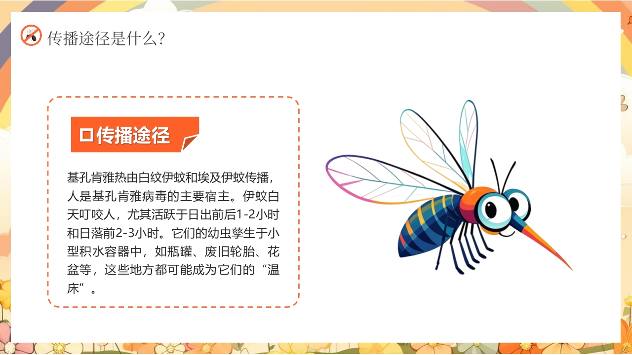 男孩背景的基孔肯雅热防控指南PPT课件8