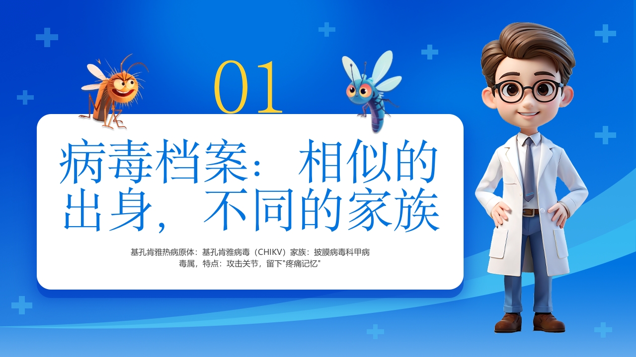 如何区分基孔肯雅热vs登革热科普PPT课件4