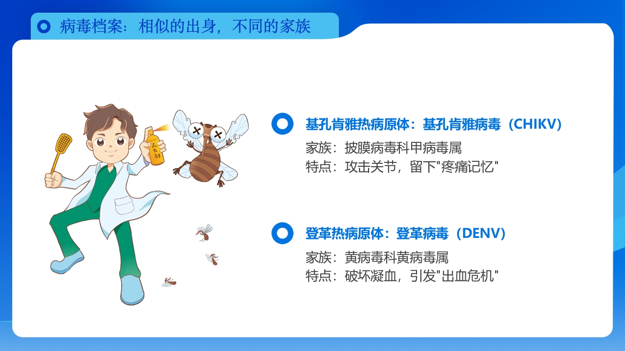 如何区分基孔肯雅热vs登革热科普PPT课件5