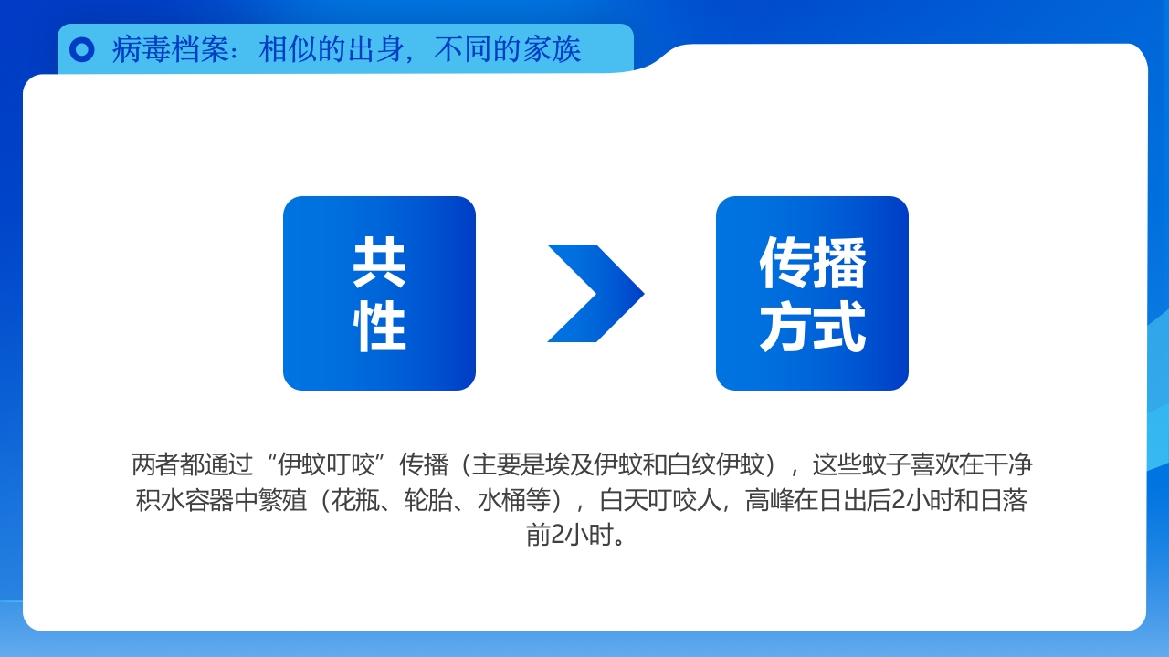 如何区分基孔肯雅热vs登革热科普PPT课件6