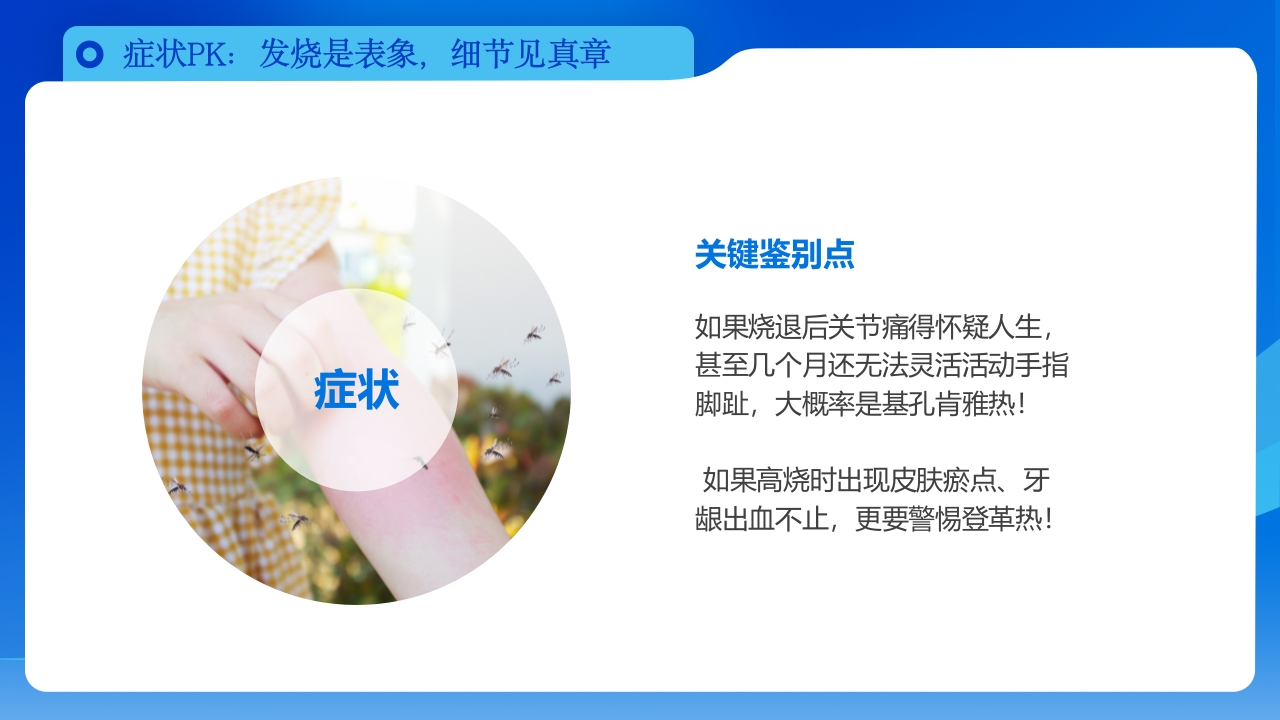 如何区分基孔肯雅热vs登革热科普PPT课件9