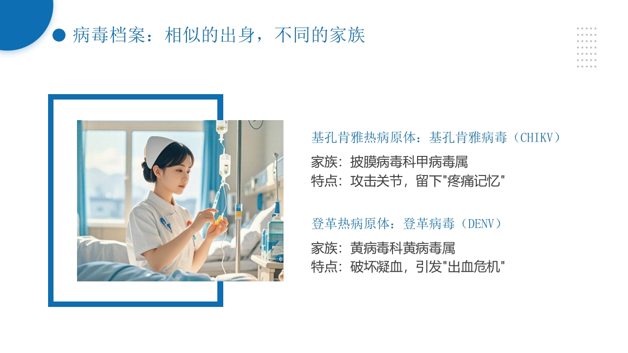 如何区分基孔肯雅热vs登革热健康科普ppt课件 (2)5