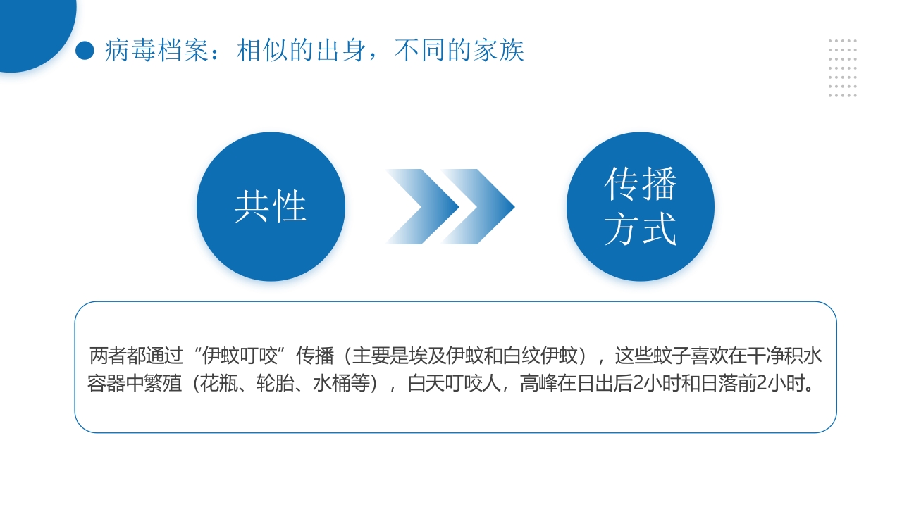 如何区分基孔肯雅热vs登革热健康科普ppt课件 (2)6