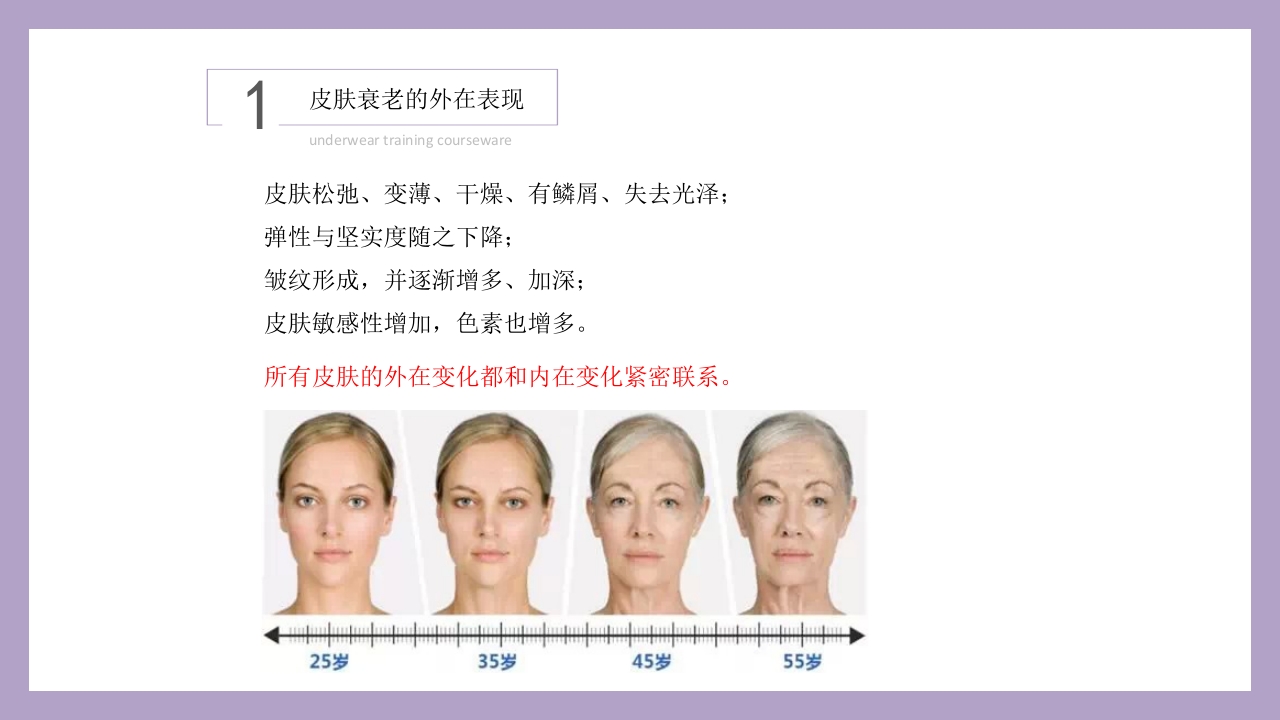 干细胞美容抗衰老ppt课件2