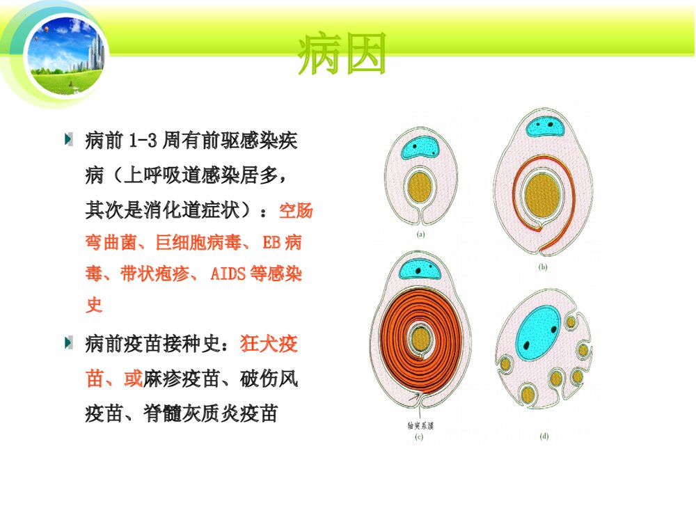 格林巴利综合征的护理ppt课件下载4