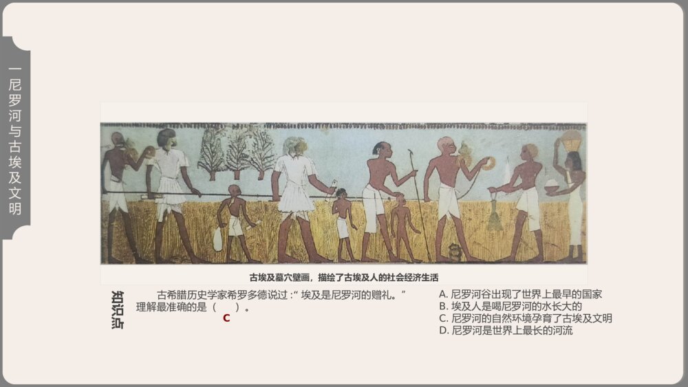 《古代埃及》人教版历史九年级上第1课教学PPT课件10