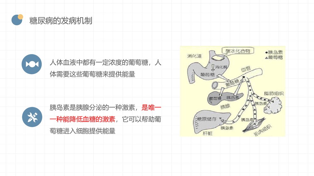 糖尿病患者饮食及用药指导PPT课件（带内容·可编辑修改）5