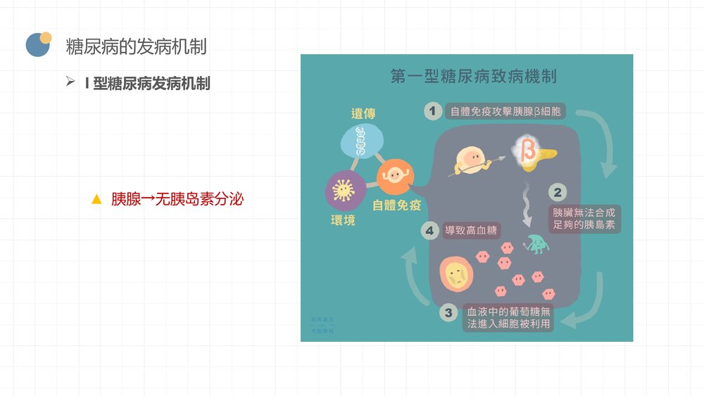 糖尿病患者饮食及用药指导PPT课件（带内容·可编辑修改）7