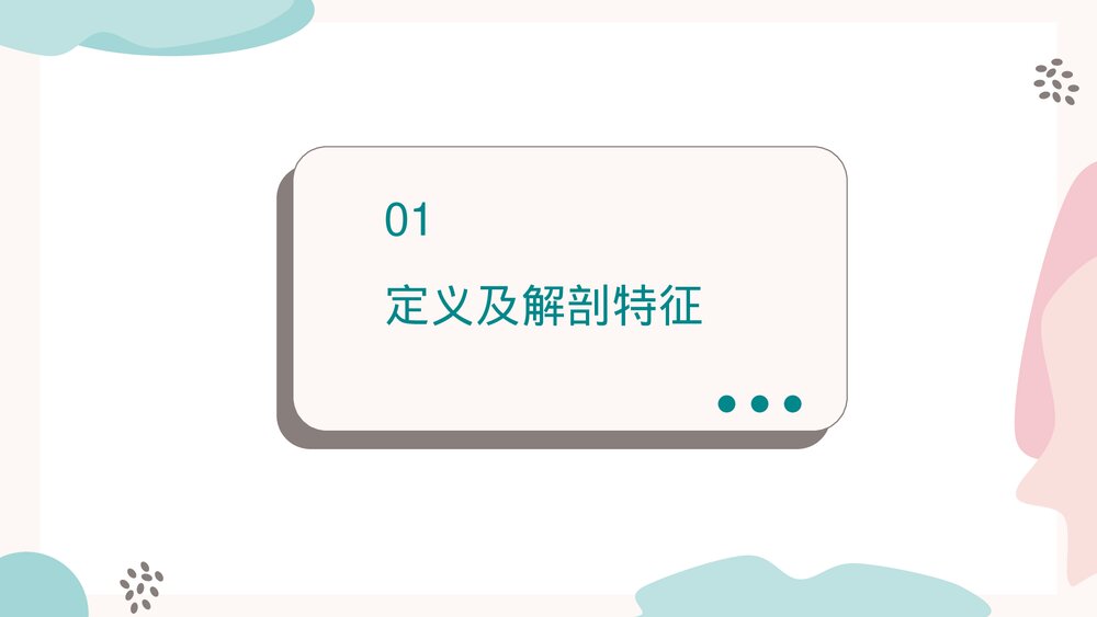 尿道下裂修补术PPT课件（带内容）3