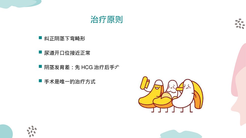 尿道下裂修补术PPT课件（带内容）8