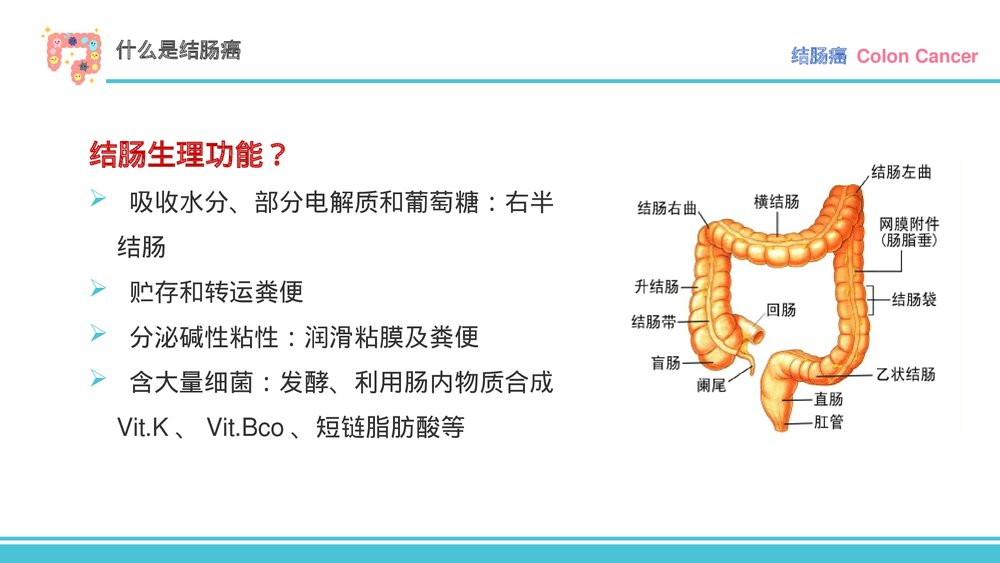 结肠癌的围术期护理PPT课件（电子版·带内容·可编辑修改）6