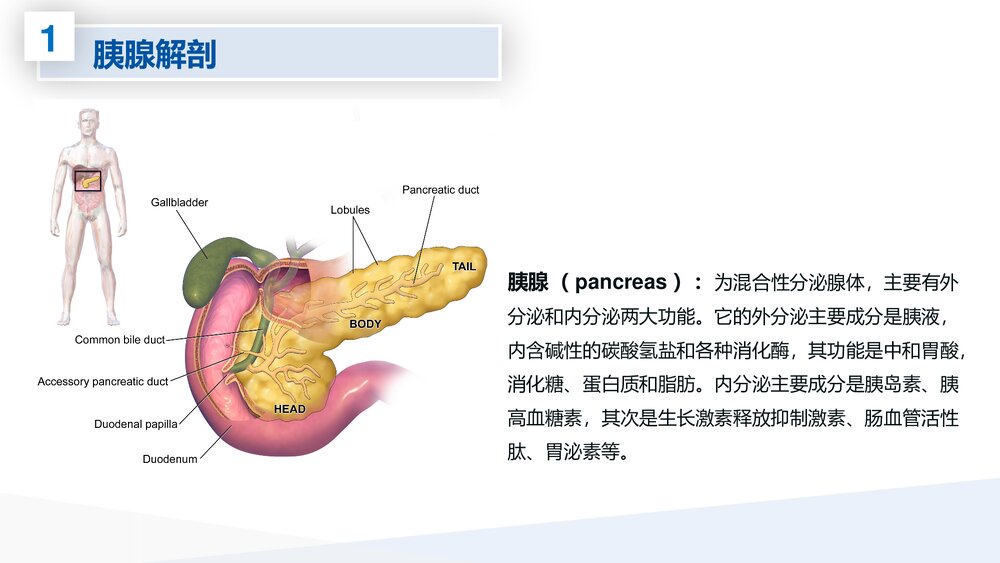 腹腔镜胰体尾切除术护理查房PPT课件下载4