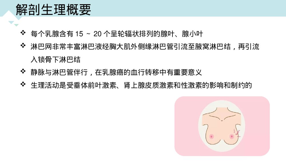 乳房肿瘤的围术期护理PPT课件（带内容·可编辑修改）6