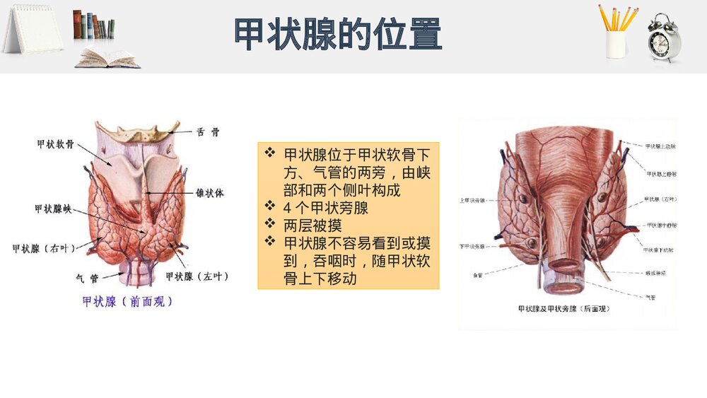 甲状腺手术的围术期护理PPT课件（电子版·带内容·可编辑修改）3