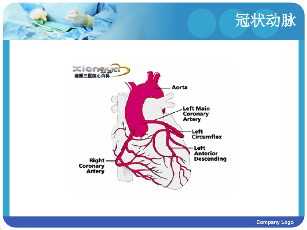 冠心病护理查房PPT课件2