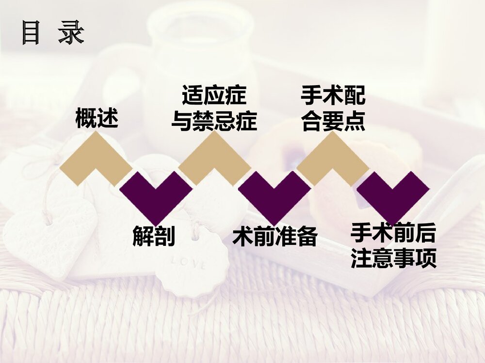 胸腔下肺叶切除手术配合PPT课件下载2