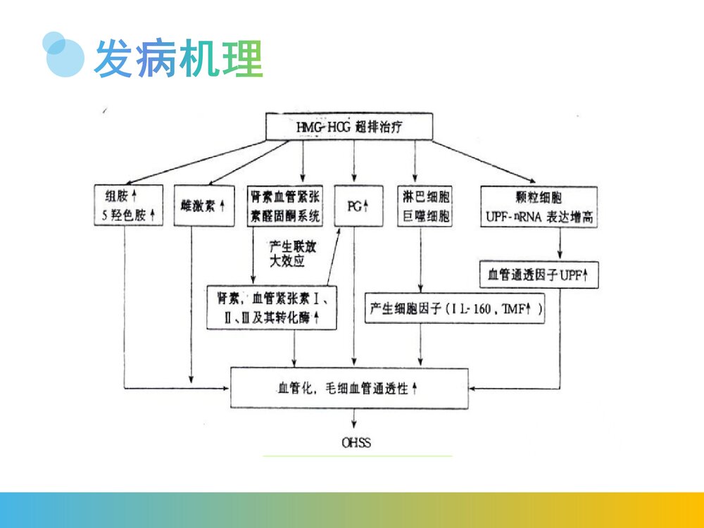 卵巢过度刺激综合征PPT课件(带内容)6