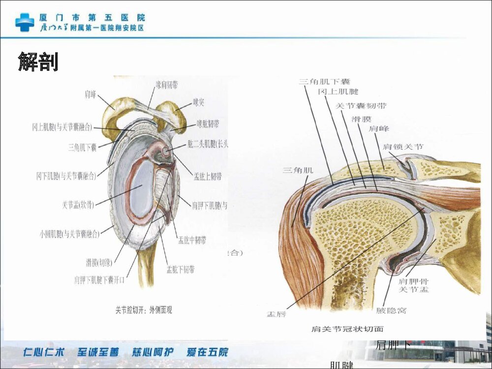 肩关节镜检盂唇修补关节清理术手术配合PPT课件8
