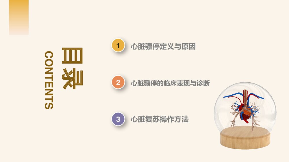 心脏骤停的应对方法以及心肺复苏的应对操作PPT课件下载2