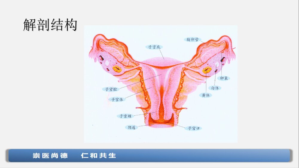 子宫下段剖宫产术手术配合与护理查房ppt课件下载5