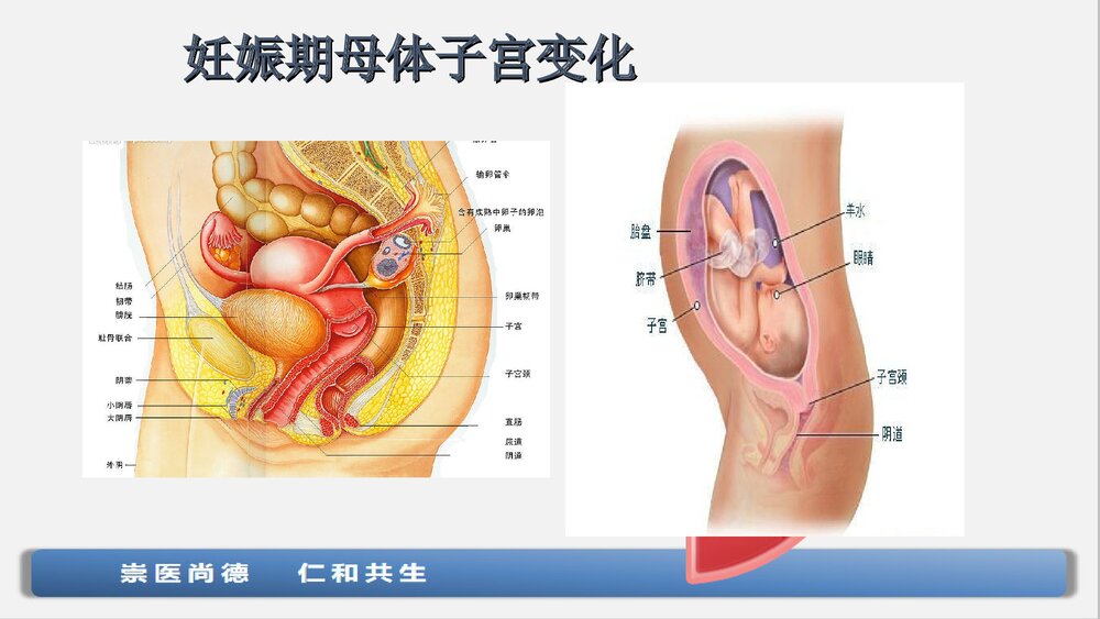 子宫下段剖宫产术手术配合与护理查房ppt课件下载7