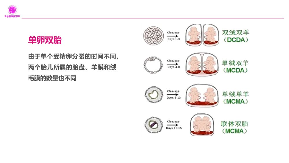 双胎妊娠的产前超声诊断PPT课件10