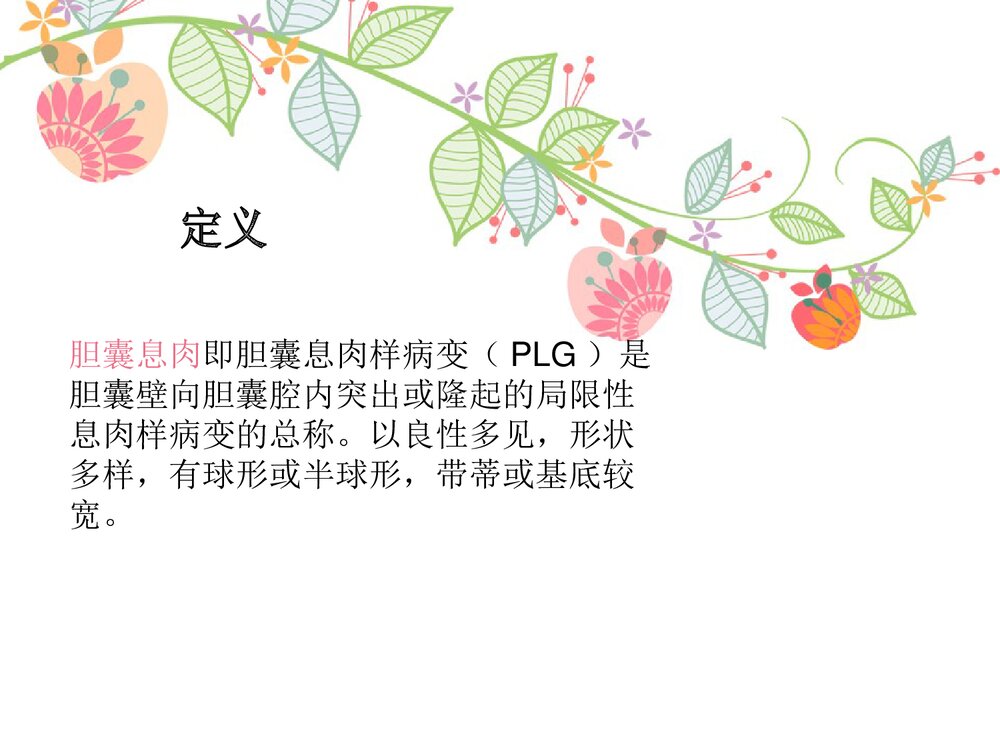 胆囊息肉护理查房PPT课件(共34页)3