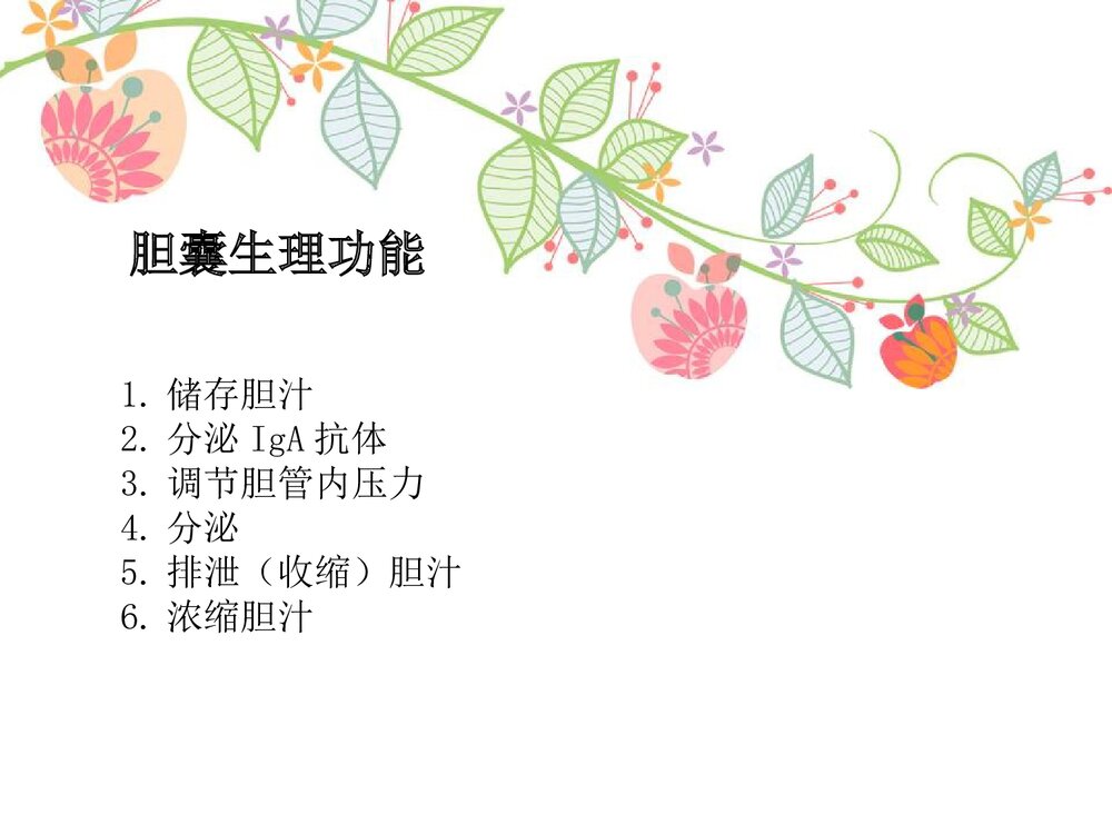 胆囊息肉护理查房PPT课件(共34页)8