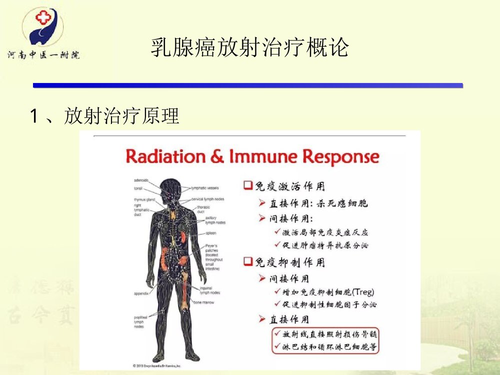 放疗在乳腺癌根治术后的运用及护理PPT课件下载4