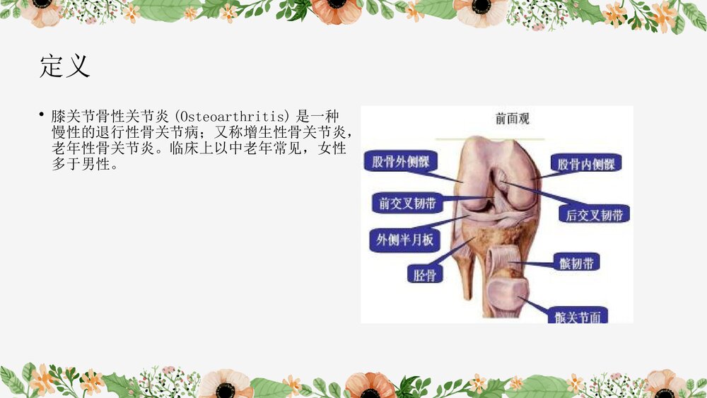膝关节骨性关节炎护理查房PPT课件下载4