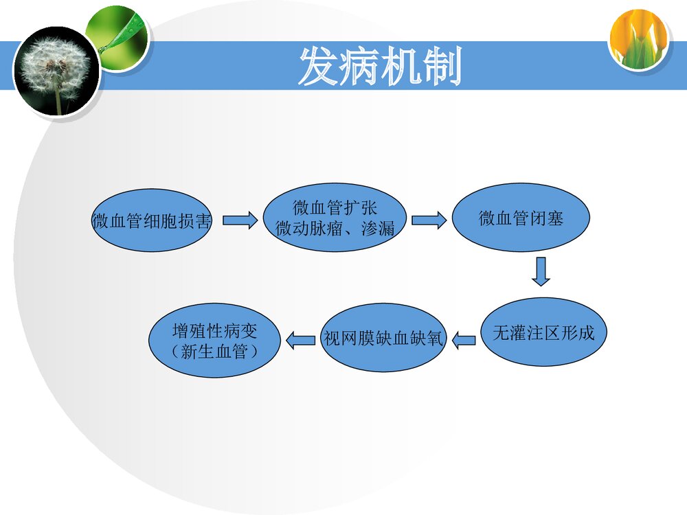 消渴目病的护理和辩证施护PPT课件下载8