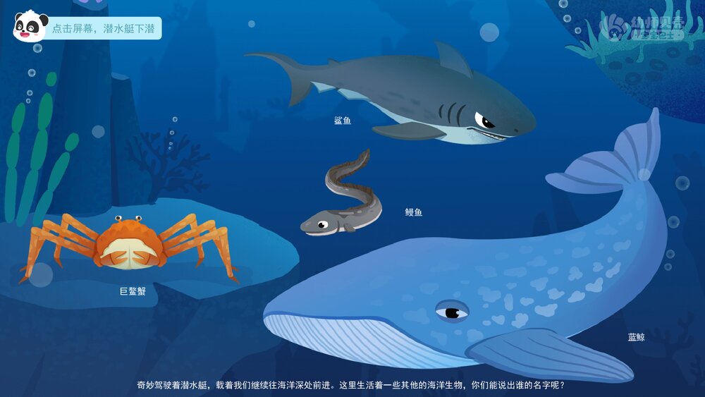 《神秘的海洋生物》幼儿园中班科学教育主题PPT课件(含word教案)7