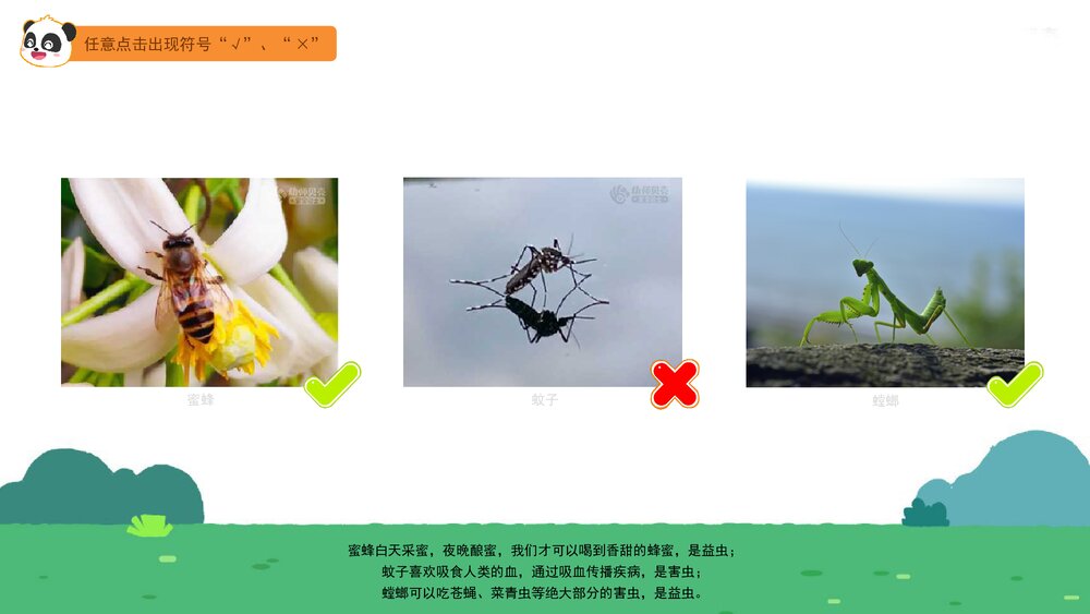 《益虫和害虫》幼儿园中班语言科学教育主题PPT课件(含word教案)7